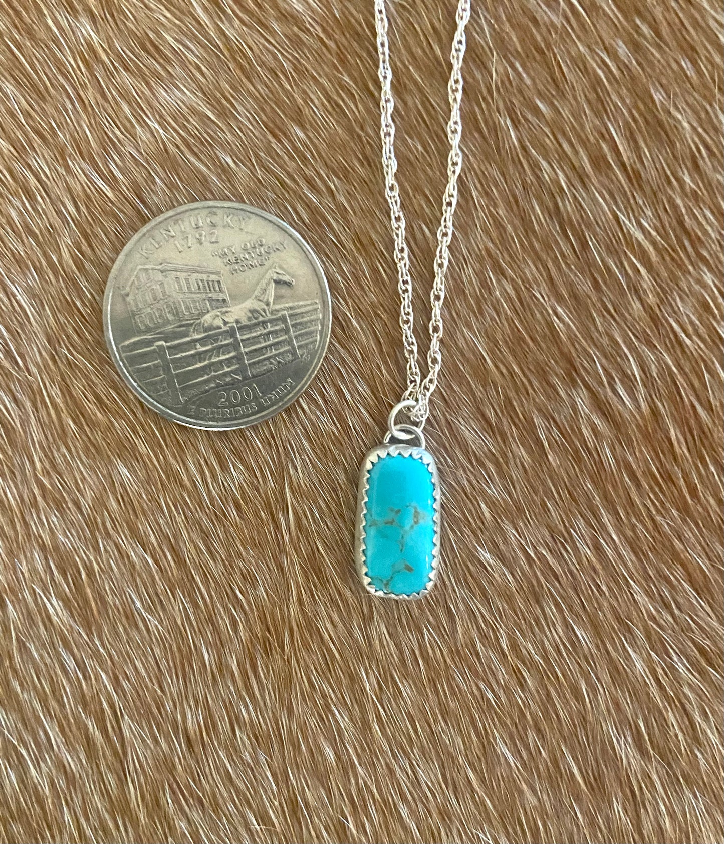 Nevada #8 vertical bar necklace