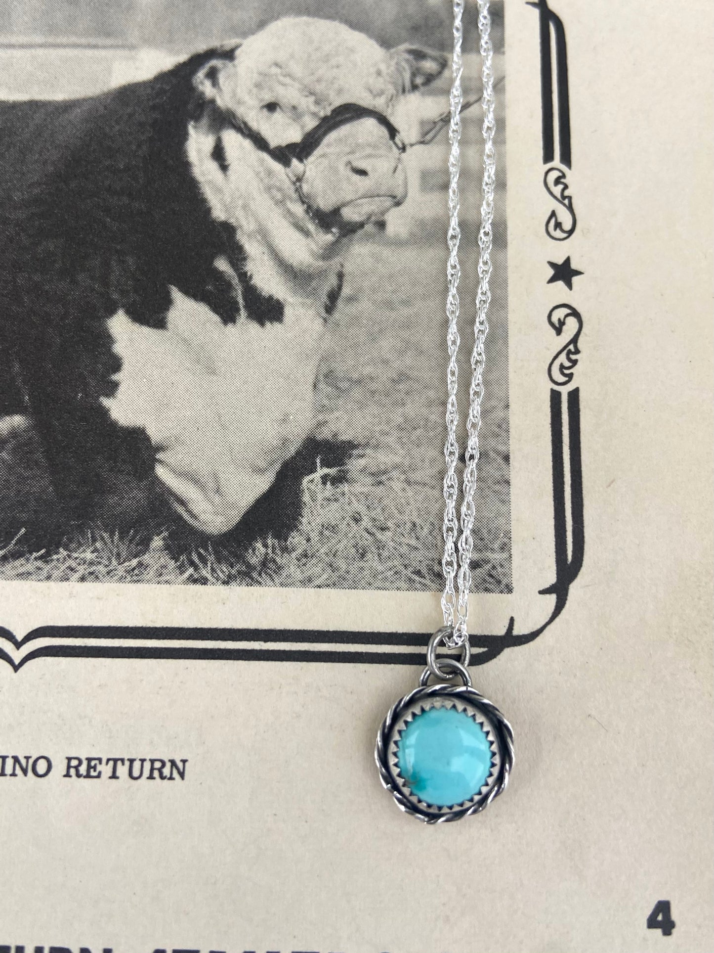 Sierra Nevada everyday necklace