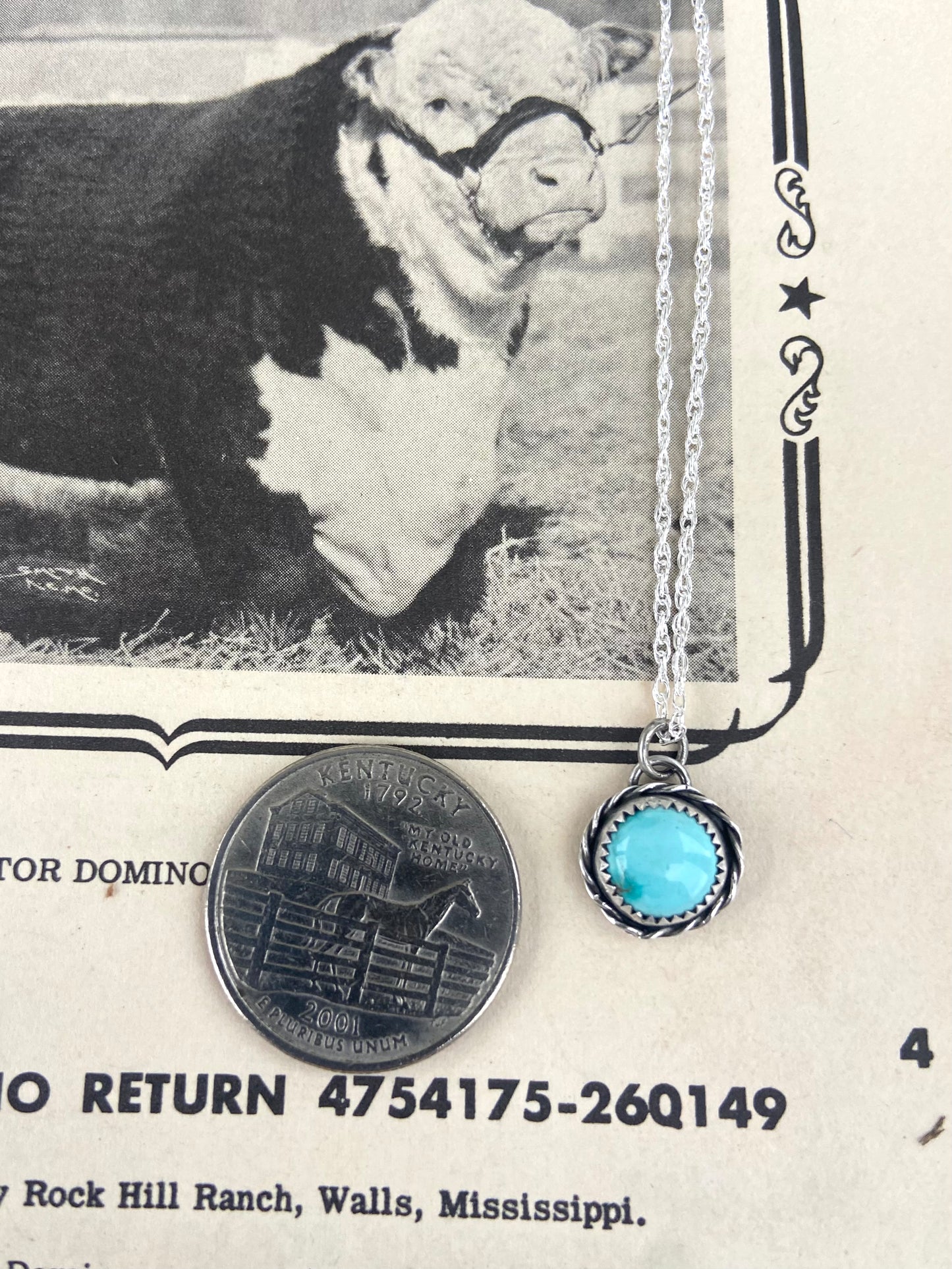 Sierra Nevada everyday necklace